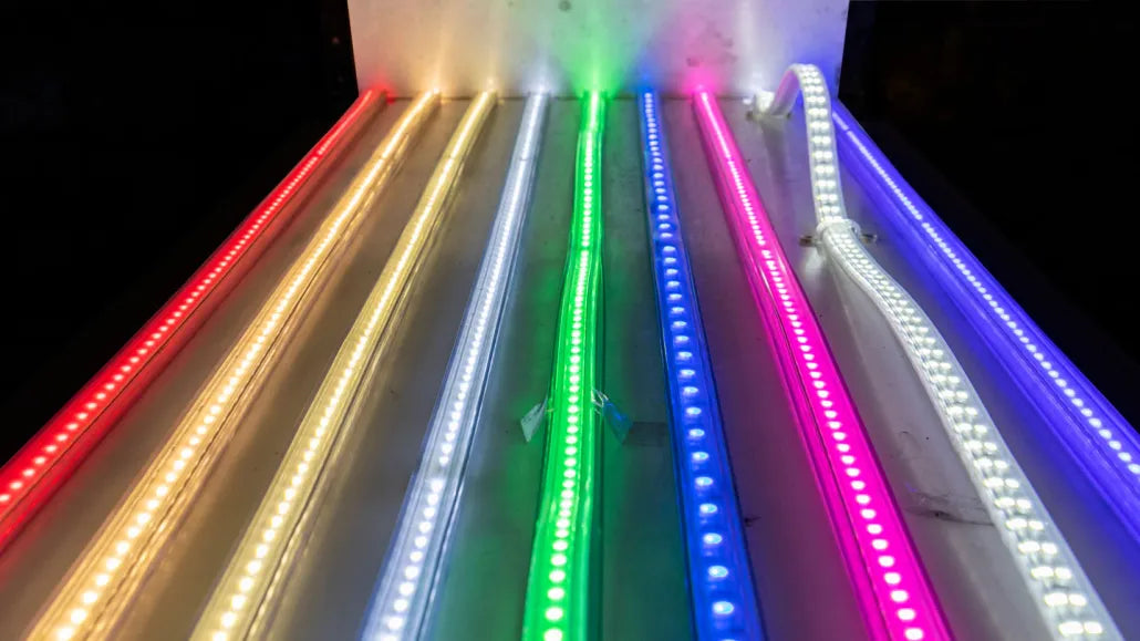 LED's